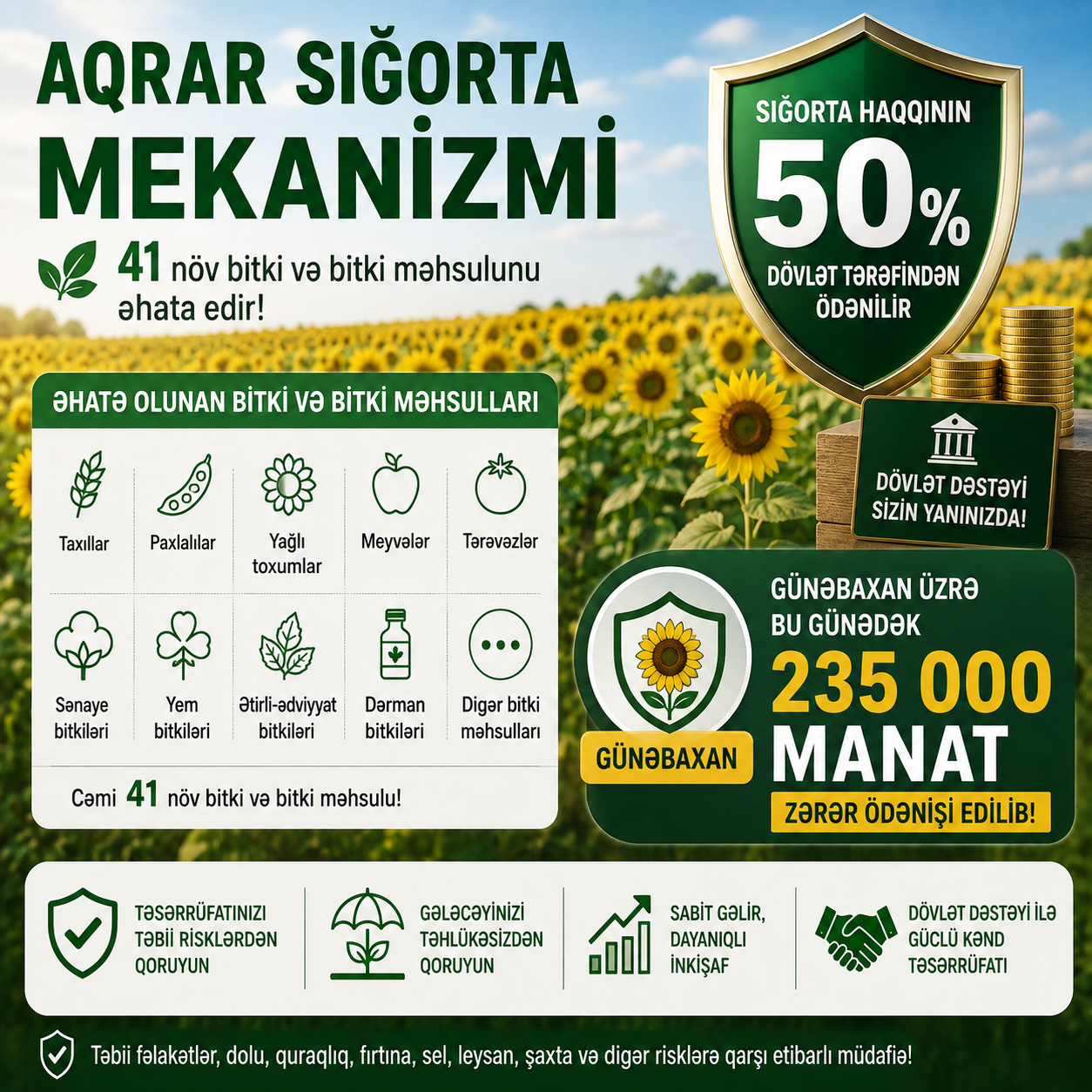 Azerbaycan’da ayçiçeğine sigorta şartı: 1000 manatlık ürün 6,8 manata sigortalanıyor
